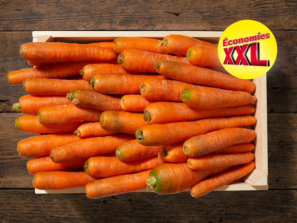 Carottes