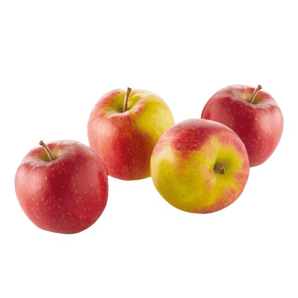 Maxi-jonagoldappels, 4 st.