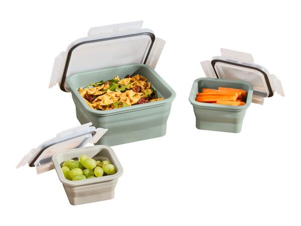 Silvercrest Collapsible Square Food Storage Containers - 4 Pieces