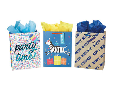 Pembrook Mother's Day or All Occasion Gift Bag with Tissue Paper