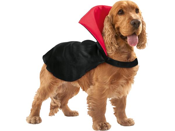 Dog Halloween Costume