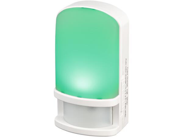 LED Night Light