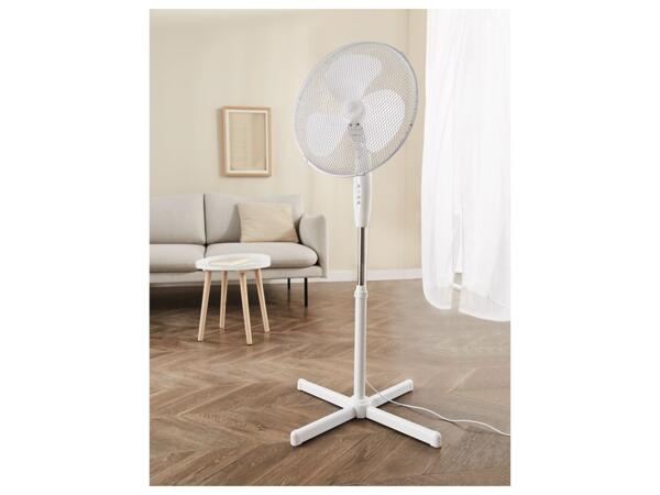 Pedestal Fan