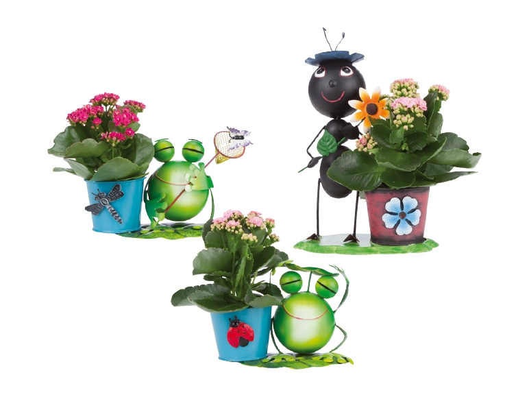 Figurines en zinc avec kalanchoés