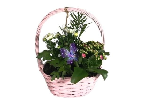 Mother's Day Gift Basket