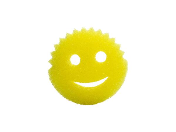 Sponge