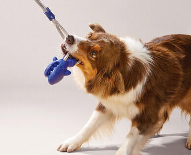 Heavy Duty Dog Toys