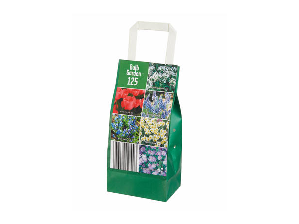 Flower Bulbs in Paper Bag1