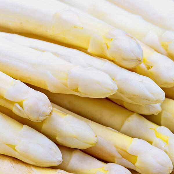Spargel
