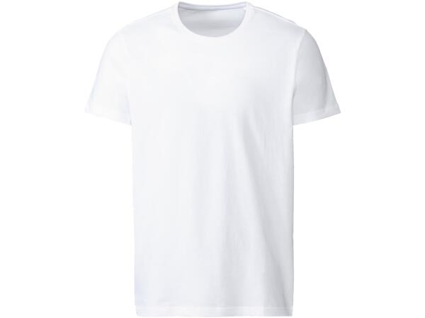 Men's T-Shirts