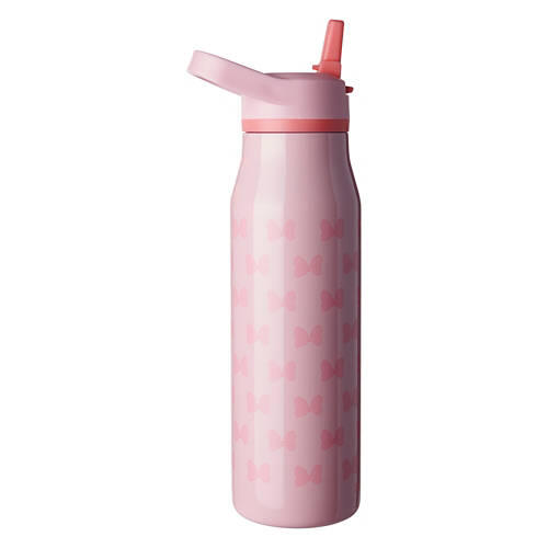 Minnie Mouse Stainless Steel Water Bottle, Pink