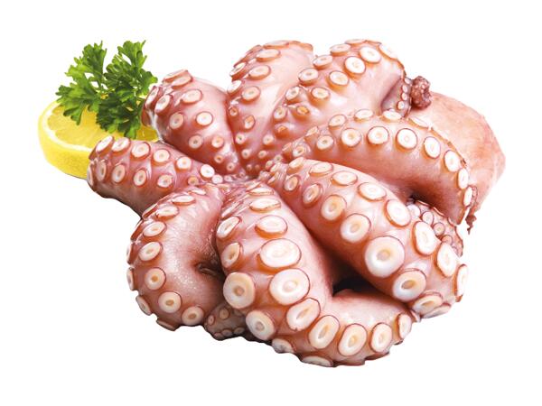 Eviscerated Octopus