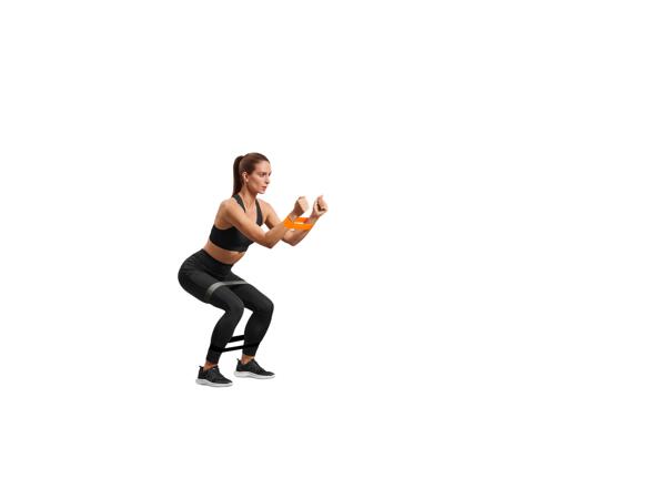 Fitness Accessories