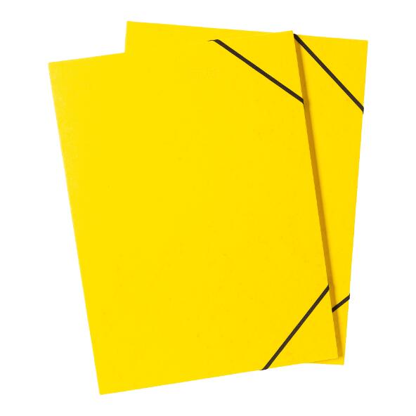 EXPERTIZ(R) 				Fardes à élastique