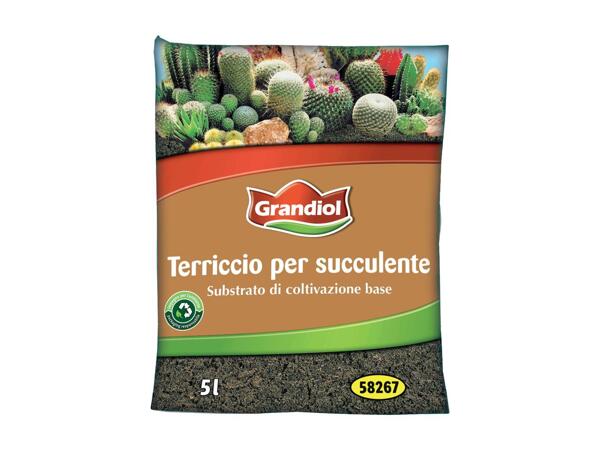 Succulents Soil