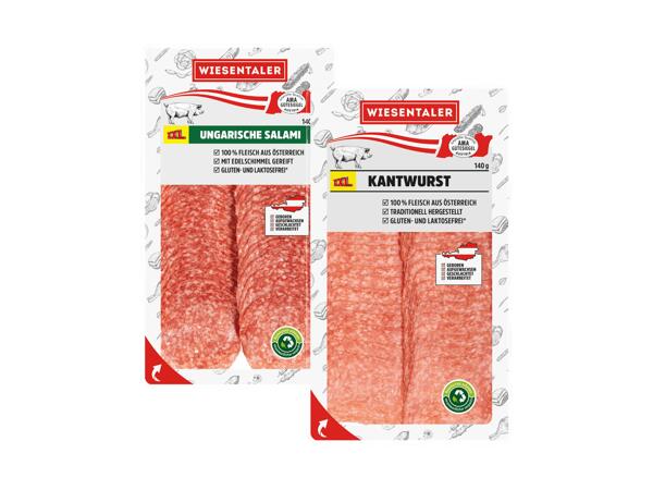 Ungarische Salami oder Kantwurst