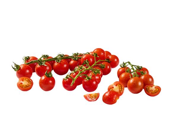 Cherry Tomatoes XXL