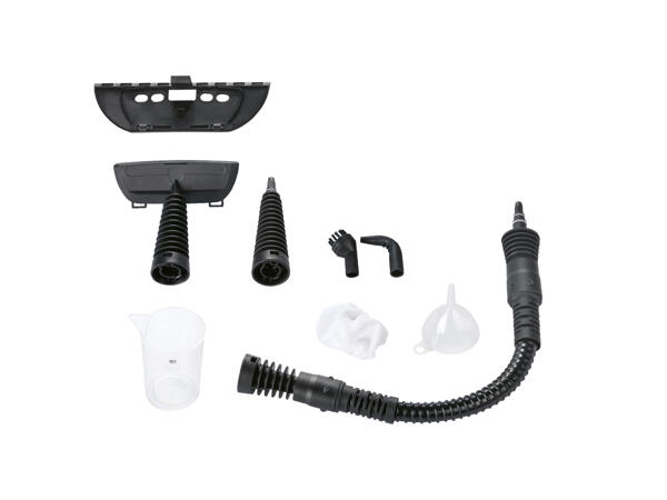 Hand-held Steam Cleaner