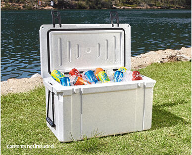 Ice Box 55L