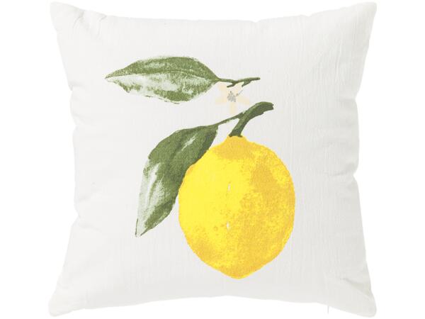 Cushion