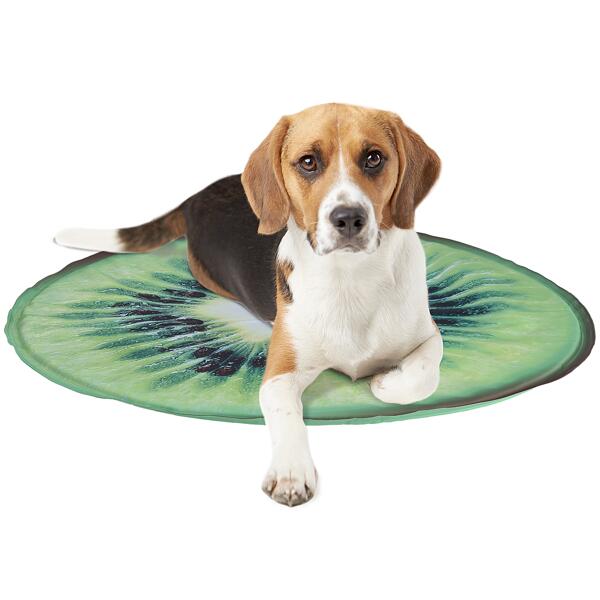 Tapis rafraîchissant pour chiens