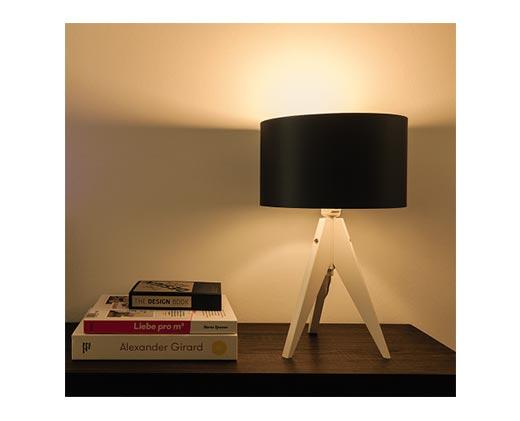 Lightway 
 4-Pack LED Light Bulbs