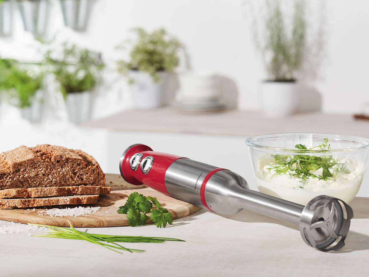 Silvercrest Hand Blender1