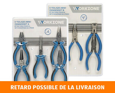 WORKZONE(R) 
 LOT DE MINI-PINCES, 5 PIÈCES