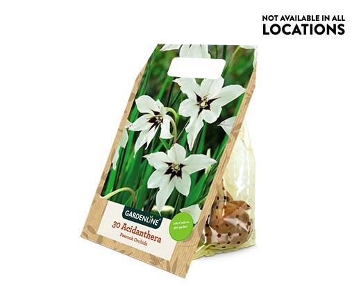 Gardenline 
 Spring Bulbs Assorted Varieties