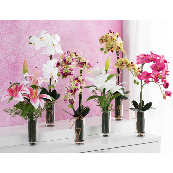 Deko-Orchidee oder -Lilie