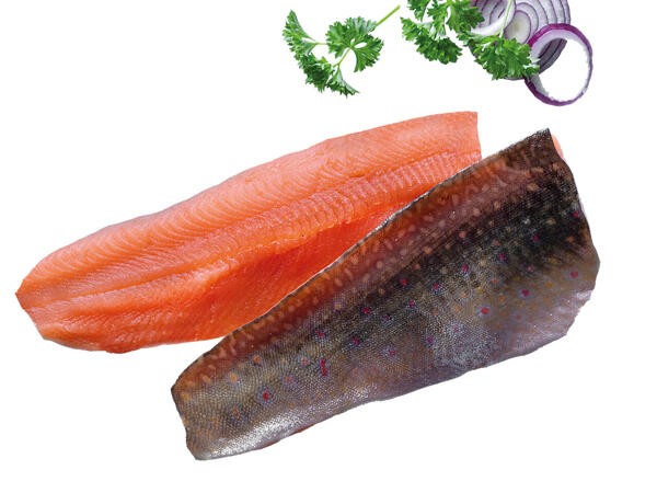 Frische Saiblingsfilets
