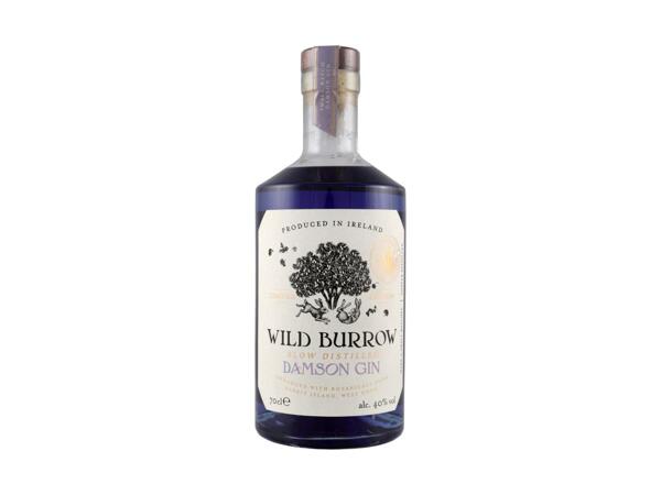 Damson Gin