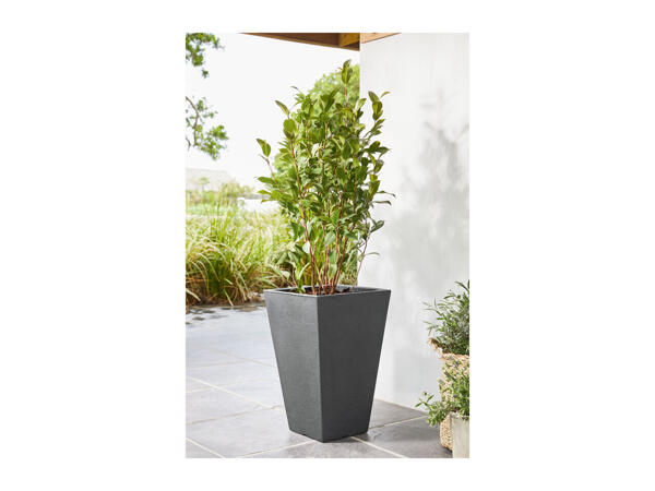Livarno Home 55cm Tall Planter