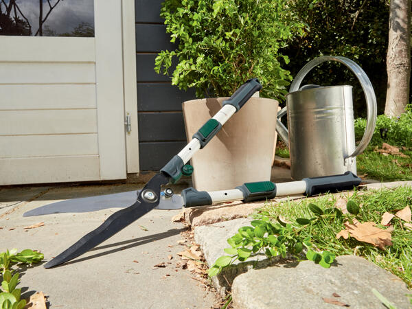Extendable Hedge Shears