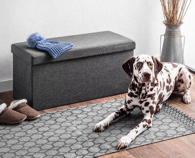 LIVING STYLE Sitztruhe/-boxen