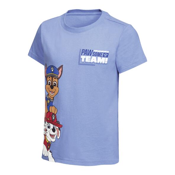 DISNEY(R)/NICKELODEON(R)/MARVEL(R) 				T-shirt, 2 st.
