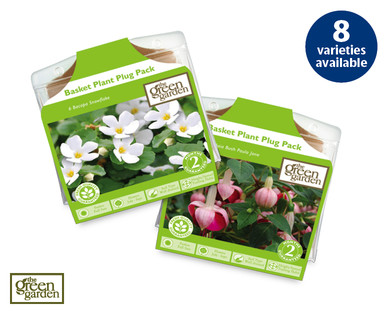 Basket Plant Plug Pack