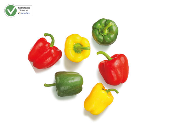 Ekologisk paprika mix
