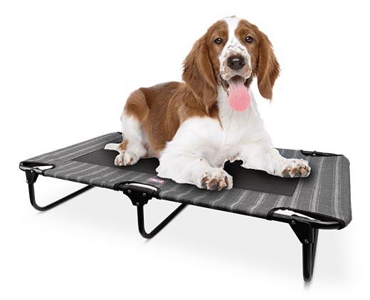 Heart to Tail
Large Pet Travel Cot