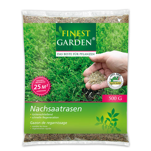 Nachsaatrasen
