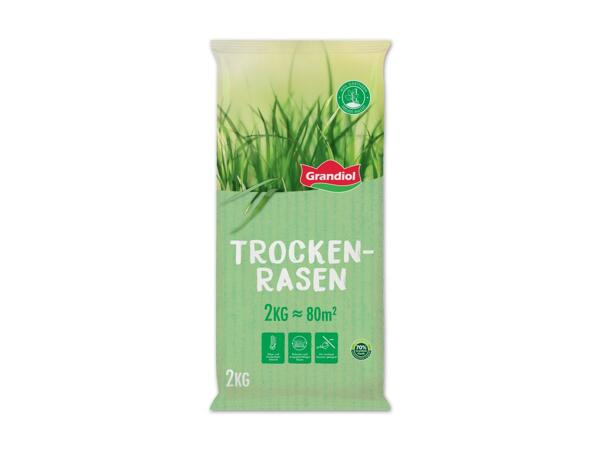 Trockenrasen