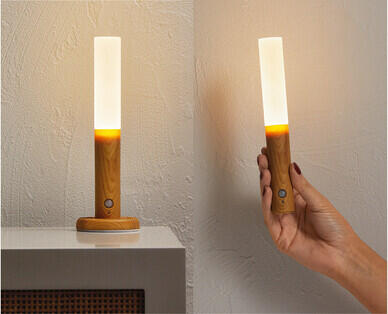 Multifunction Light