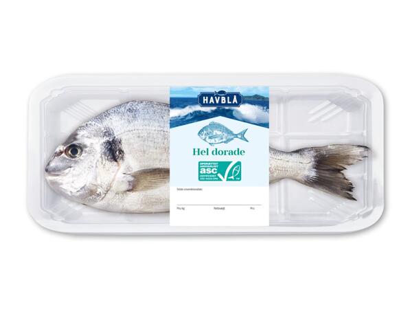 HAVBLÅ Hel dorade