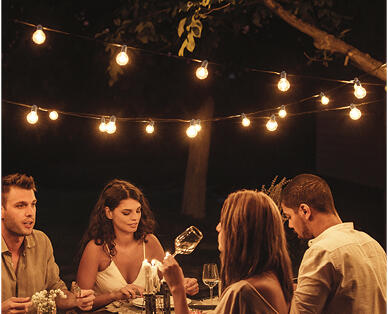 LED Festoon Lights