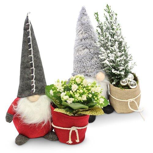 bepflanzte Arrangements XMAS