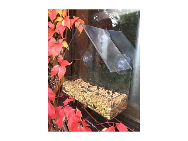 Oakdale Window Bird Feeder