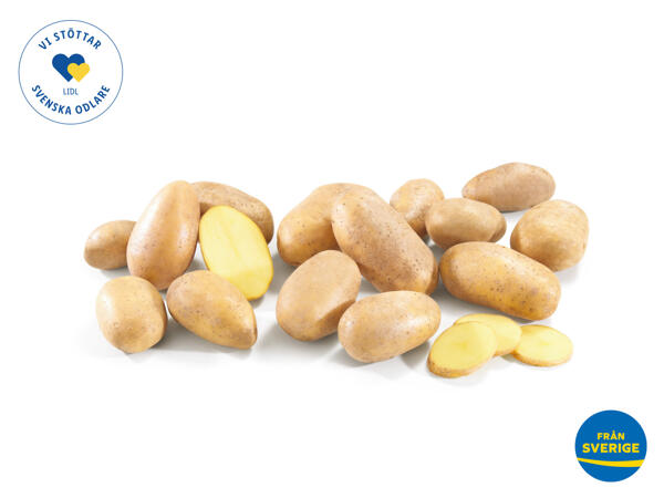 Potatis