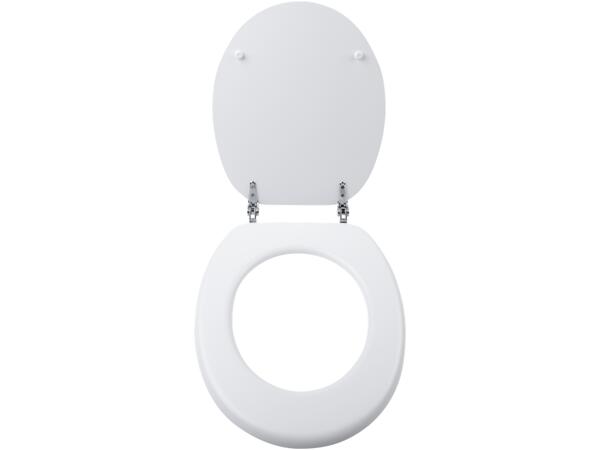 Toilet Seat