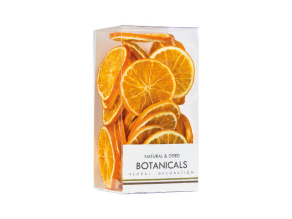 Botanical Decoration