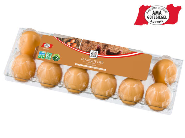 Eier aus Bodenhaltung